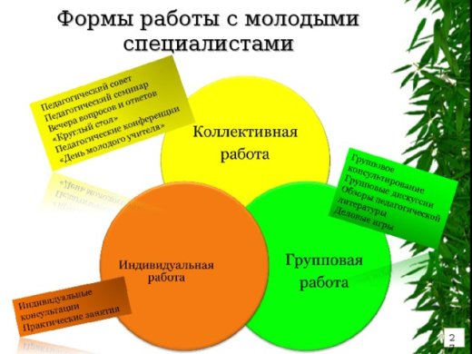 Работа с молодыми специалистами