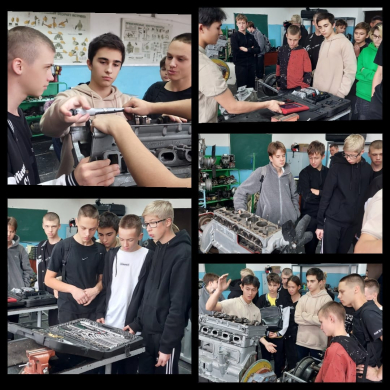 Профессиональные пробы