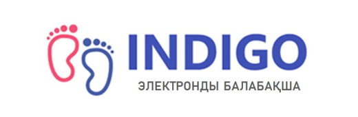 INDIGO ОҚЫТАДЫ: ЖҮЙЕНІ ҚАЛАЙ ТАБУҒА БОЛАДЫ?