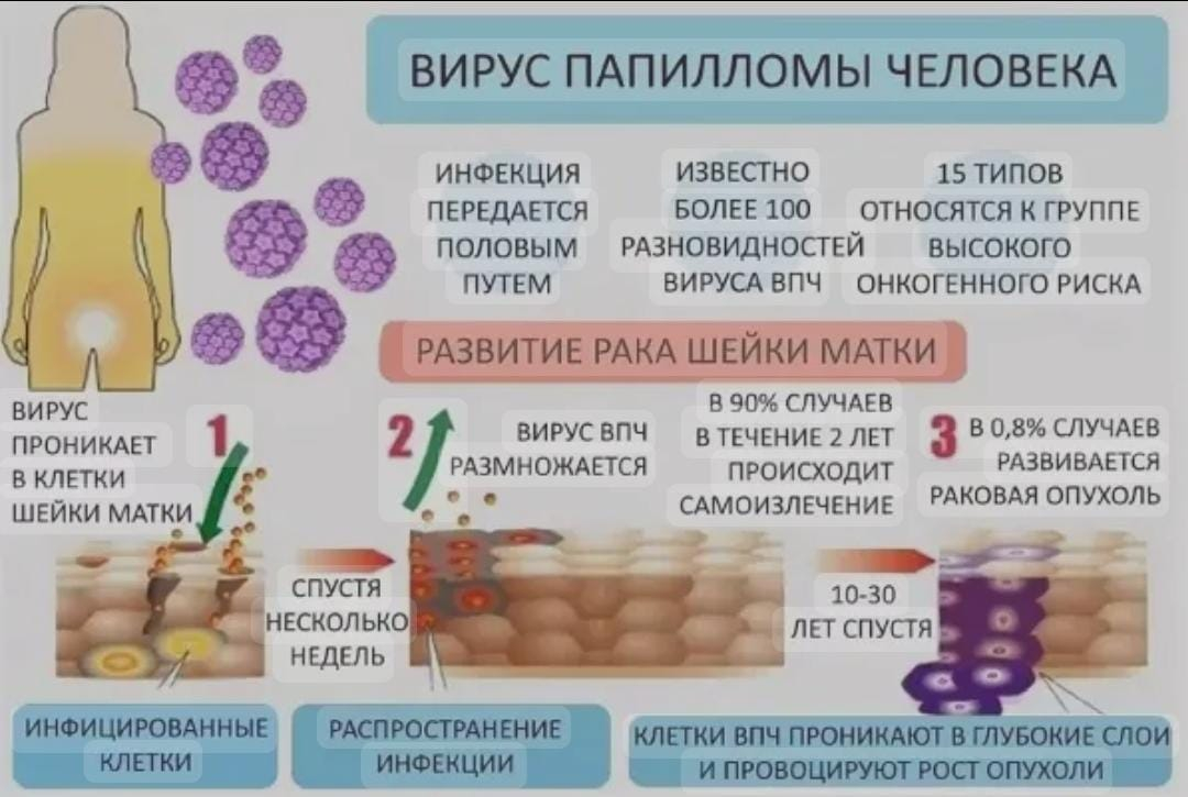 ВИРУС ПАПИЛЛОМЫ ЧЕЛОВЕКА