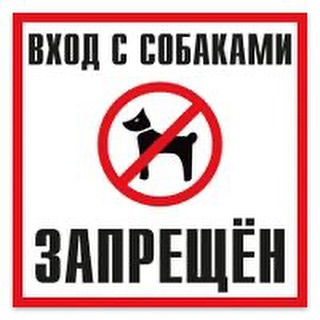 Поведение при встрече с бродячими собаками