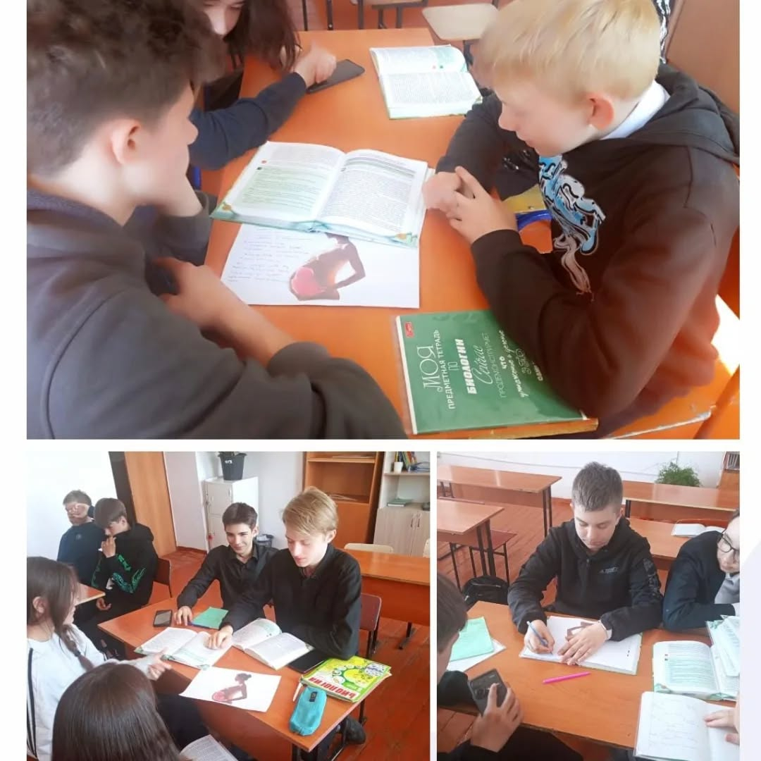 Проект