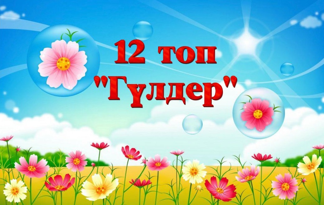 группа №12