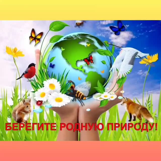 В условиях стремительно развивающегося мира природа все чаще нуждается в нашей защите.