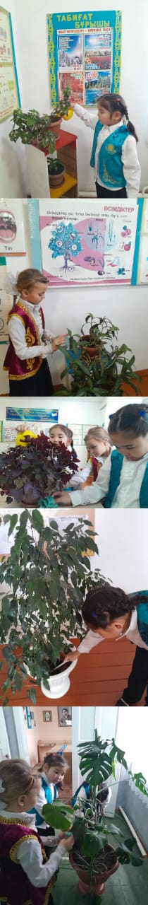 Адал Азамат бағдарламасы