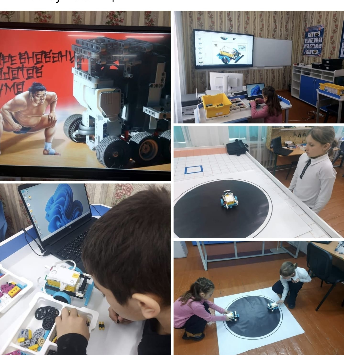 «Робо-сумо»