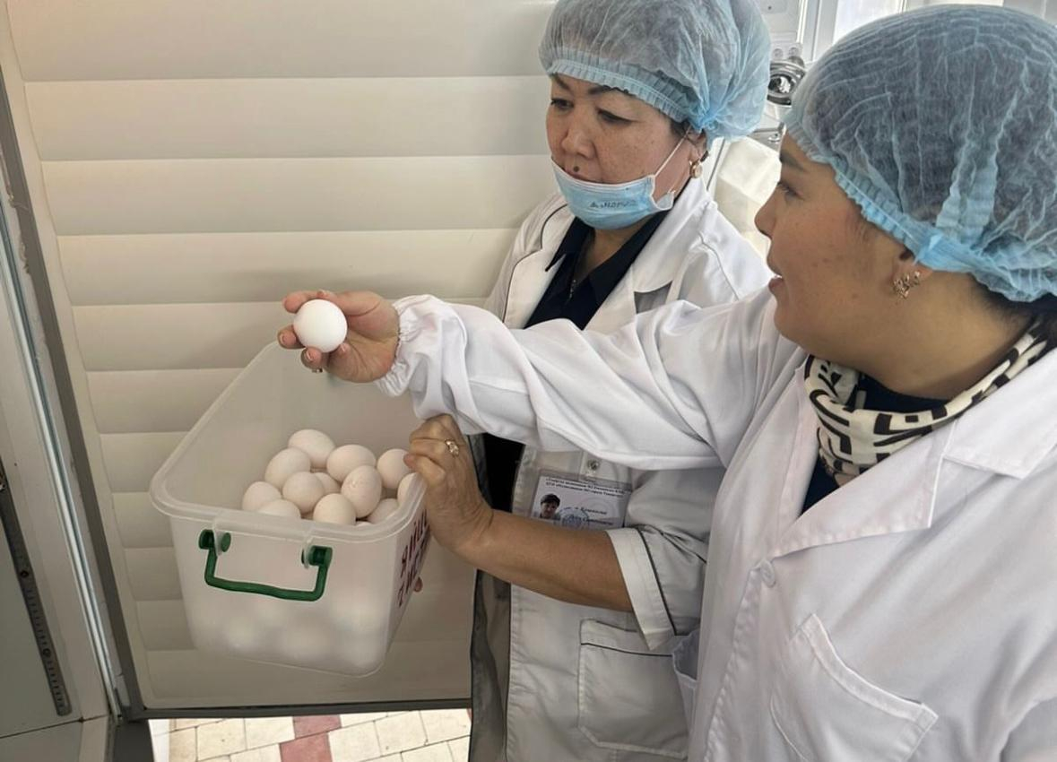 2025-2026 оқу жылындағы тамақтану сапасының мониторингі тобының жұмысы