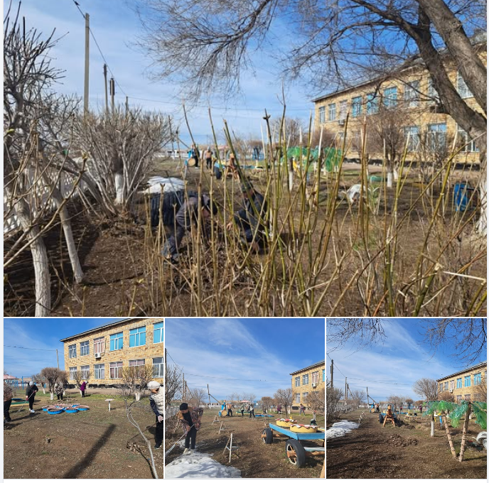 «Таза Қазақстан»!