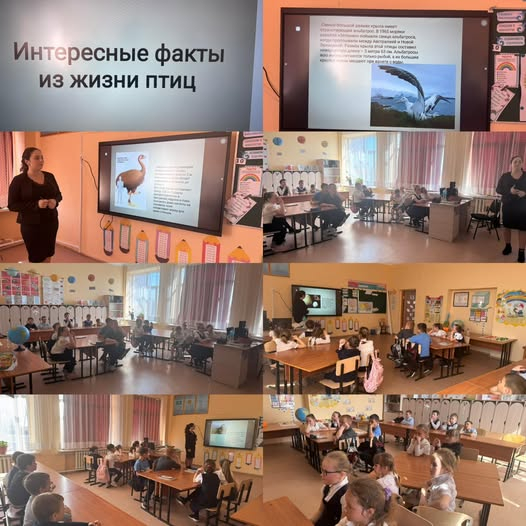 Мероприятие «Птицы — наши друзья»