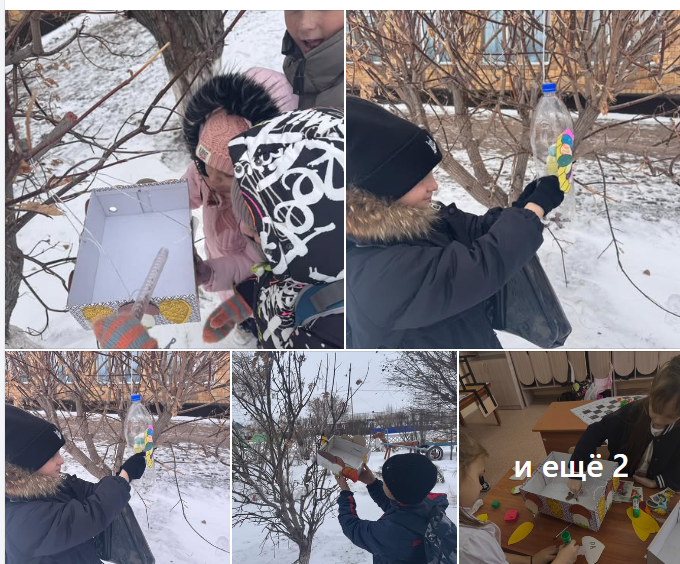 Социальный проект «Камкор»