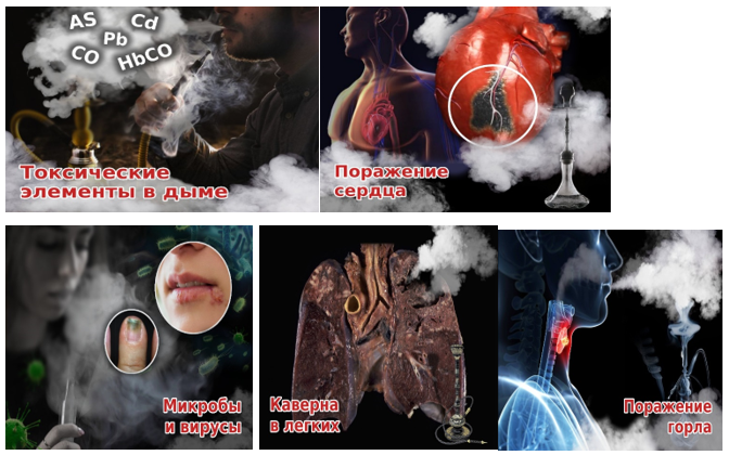 Влияние курения кальяна на легкие, сердечно-сосудистую систему и другие органы