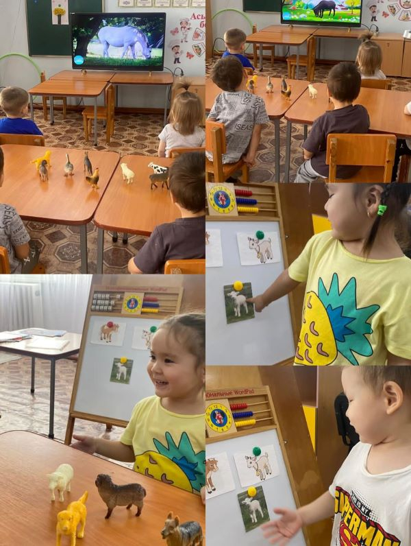 Еркетай шағын орталығы. «Үй жануарлары»