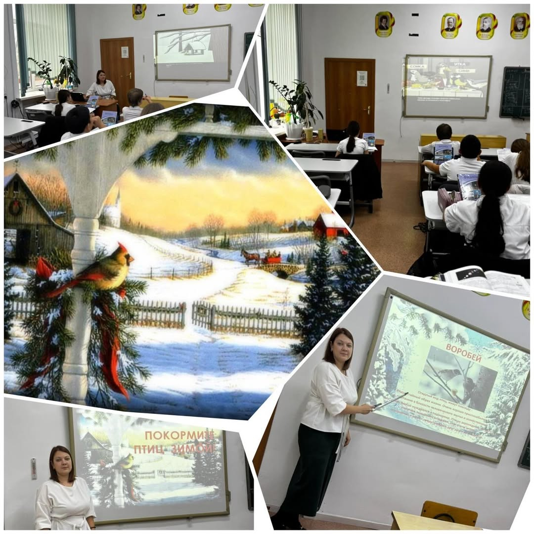 В рамках проекта «Зеленый клуб» было проведено занятие по теме: «Как помочь птицам зимой».На занятии обсуждалось, почему птицам нужна помощь в холодное время года и как правильно организовать подкормку.