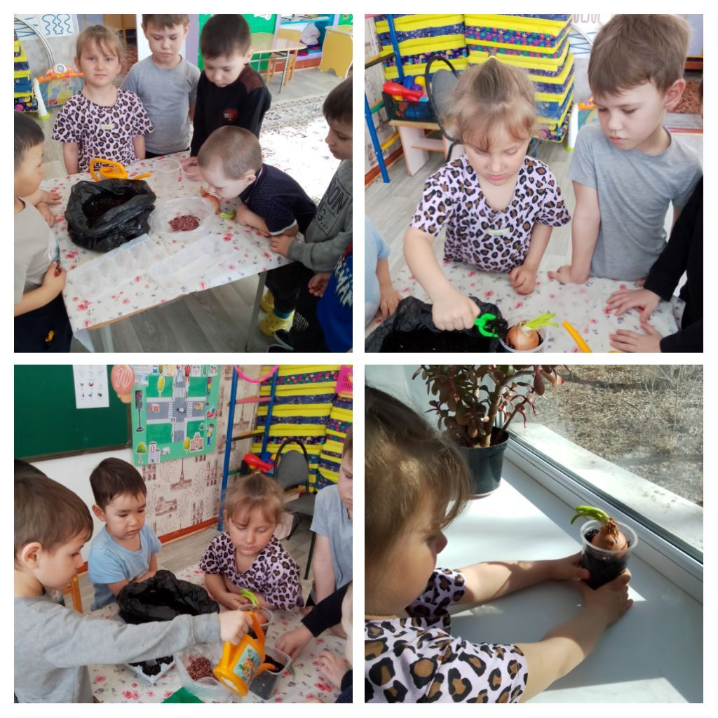 «Порядок и дисциплина»