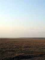 Шестюк Галина Анатольевна